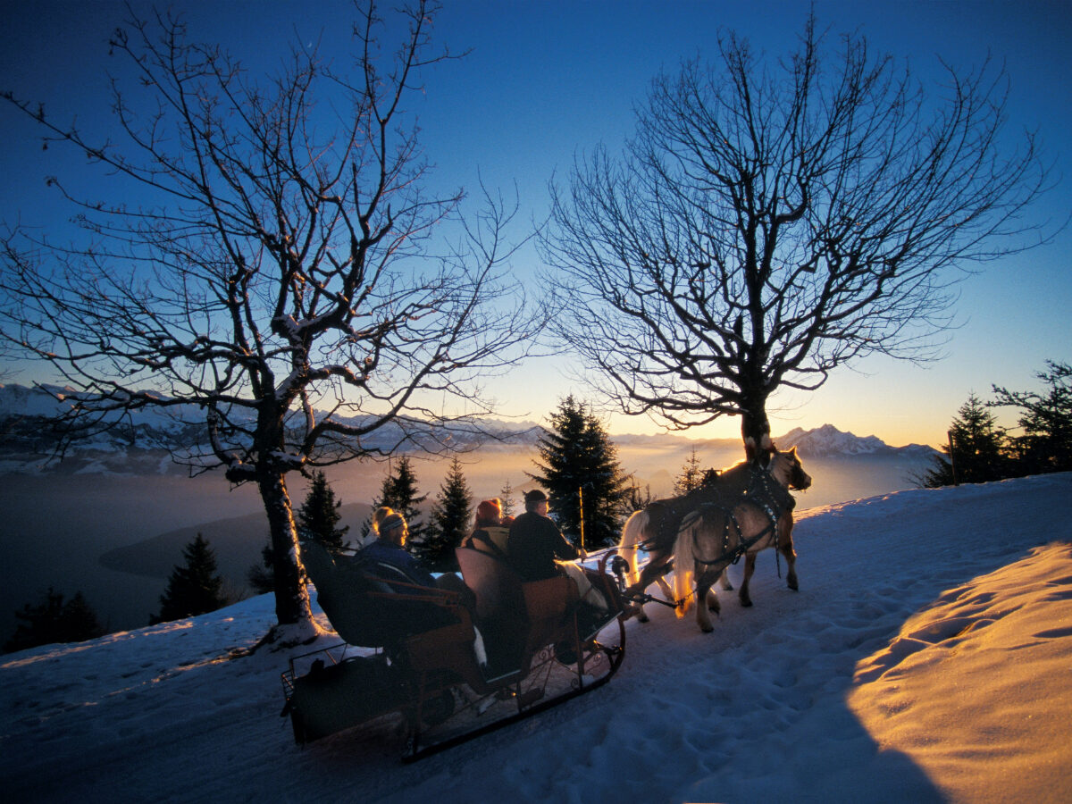 Kutschenfahrt am Abend_bearb
