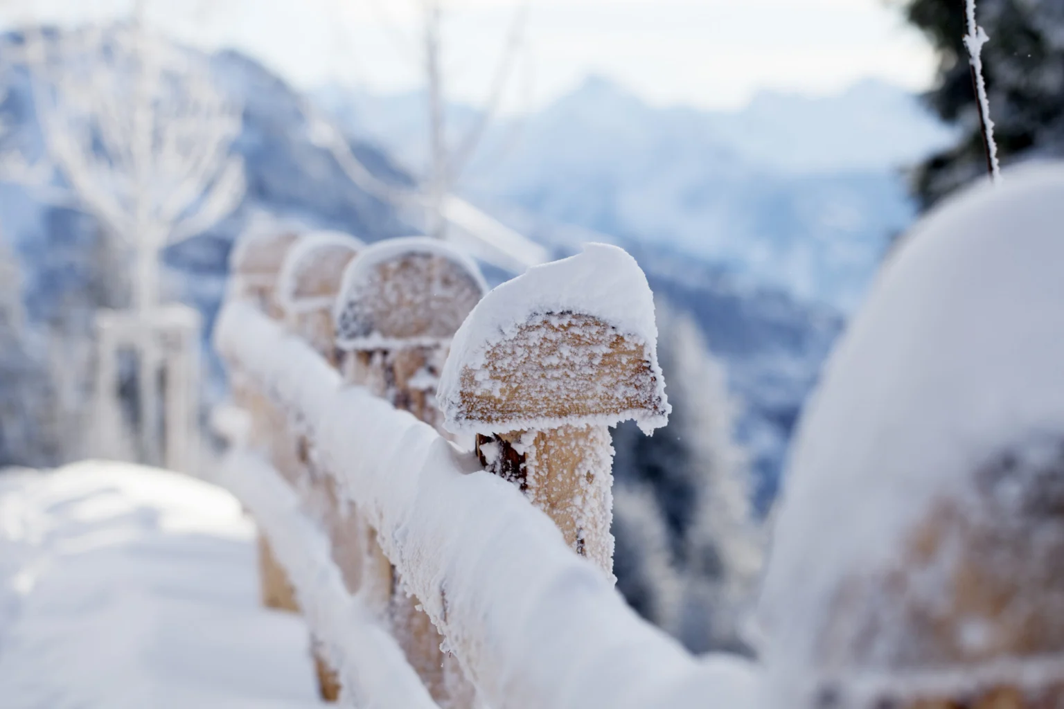 Winterbild