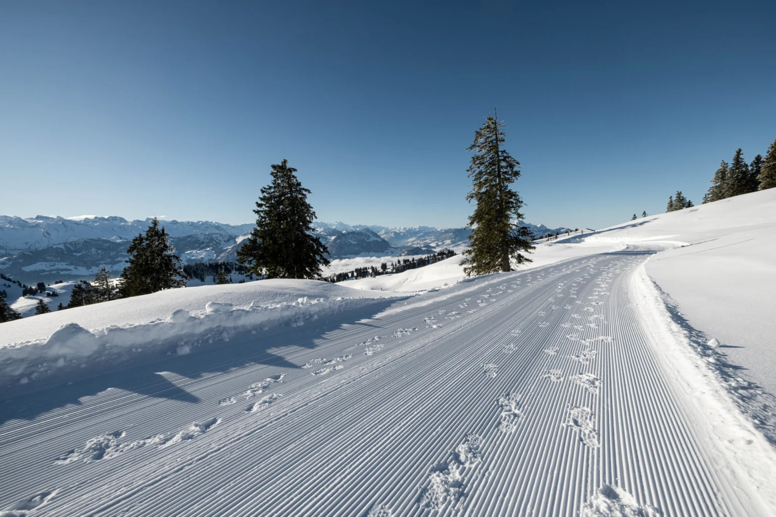 Winterwandern